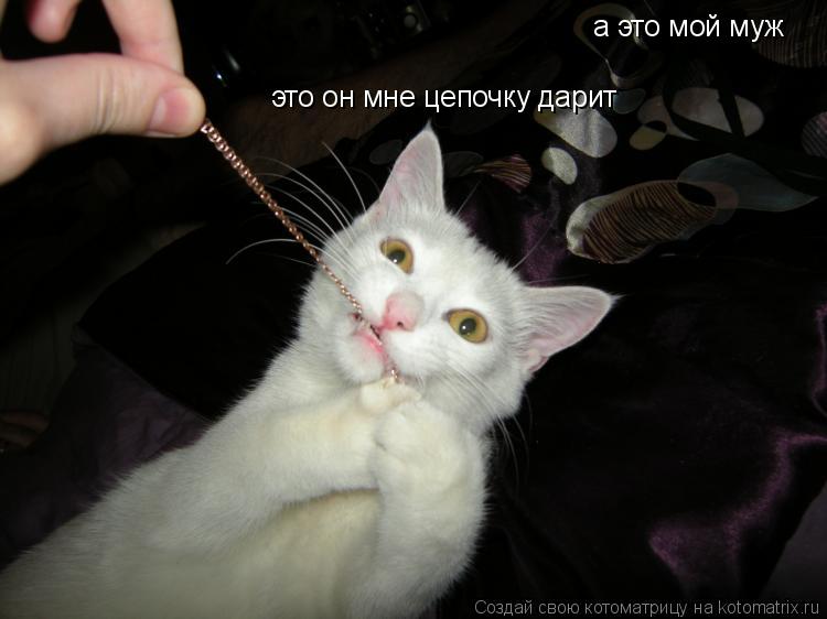 а это мой муж это он мне цепочку дарит... Котоматрица: а это мой муж это он мне цепочку дарит
