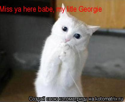Miss ya here babe, my litle Georgie... Котоматрица: Miss ya here babe, my litle Georgie