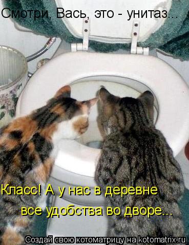 Смотри, Вась, это - унитаз... Класс! А у нас в деревне все удобства во дворе...... Котоматрица: Смотри, Вась, это - унитаз... Класс! А у нас в деревне все удобства во дворе...