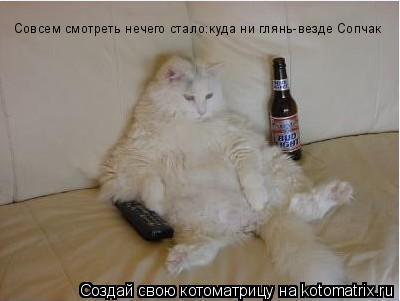Совсем смотреть нечего стало:куда ни глянь-везде Сопчак... Котоматрица: Совсем смотреть нечего стало:куда ни глянь-везде Сопчак