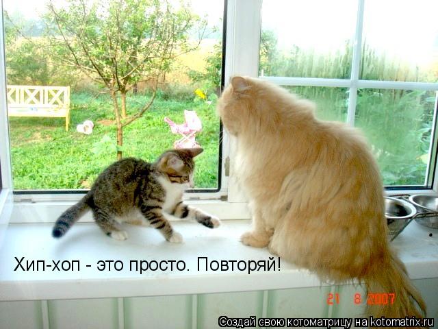 Хип-хоп - это просто. Повторяй!... Котоматрица: Хип-хоп - это просто. Повторяй!