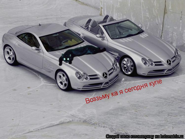 Воззьму ка я сегодня купе... Котоматрица: Воззьму ка я сегодня купе