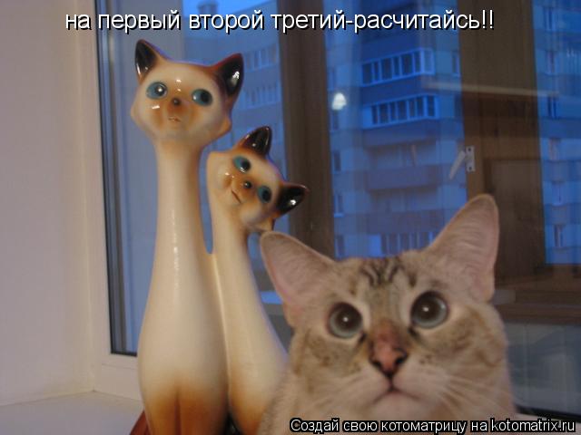 на первый второй третий-расчитайсь!!... Котоматрица: на первый второй третий-расчитайсь!!
