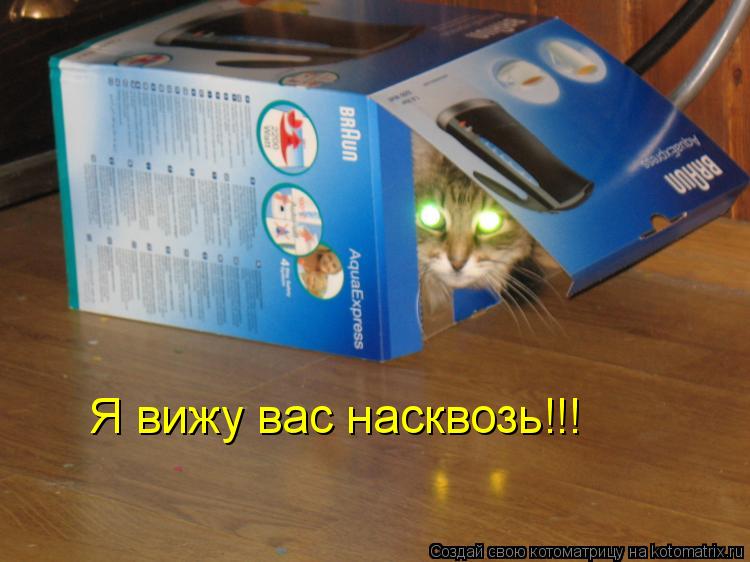 Я вижу вас насквозь!!!... Котоматрица: Я вижу вас насквозь!!!