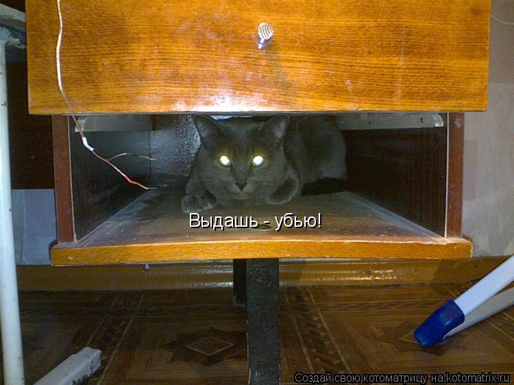 Выдашь - убью!... Котоматрица: Выдашь - убью!