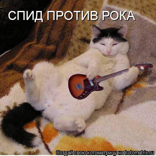СПИД ПРОТИВ РОКА... Котоматрица: СПИД ПРОТИВ РОКА