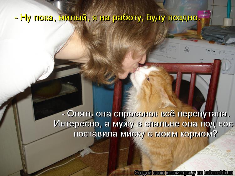 Котоматрица: - Ну пока, милый, я на работу, буду поздно. - Опять она спросонок всё перепутала. Интересно, а мужу в спальне она под нос поставила миску с моим 