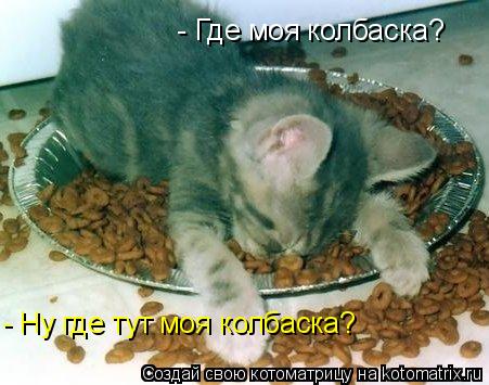 - Где моя колбаска? - Ну где тут моя колбаска?... Котоматрица: - Где моя колбаска? - Ну где тут моя колбаска?