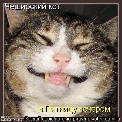 Чеширский кот в Пятницу вечером... Котоматрица: Чеширский кот в Пятницу вечером