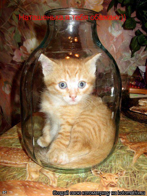 Наташенька,я тебя обажаю:))... Котоматрица: Наташенька,я тебя обажаю:))