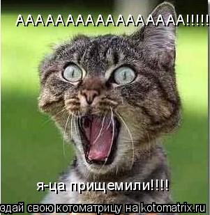 ААААААААААААААААА!!!!! я-ца прищемили!!!!... Котоматрица: ААААААААААААААААА!!!!! я-ца прищемили!!!!