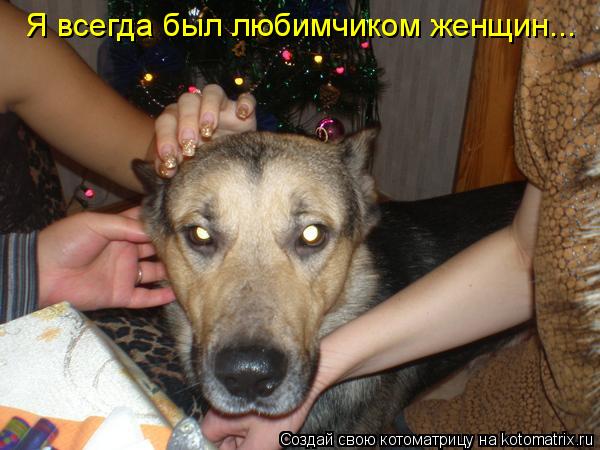 Я всегда был любимчиком женщин...... Котоматрица: Я всегда был любимчиком женщин...