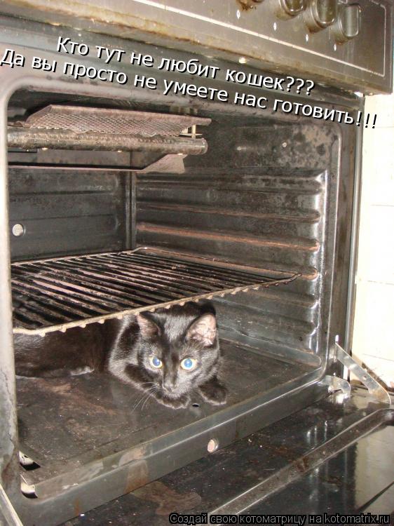 Да вы просто не умеете нас готовить!!! Кто тут не любит кошек???... Котоматрица: Да вы просто не умеете нас готовить!!! Кто тут не любит кошек???