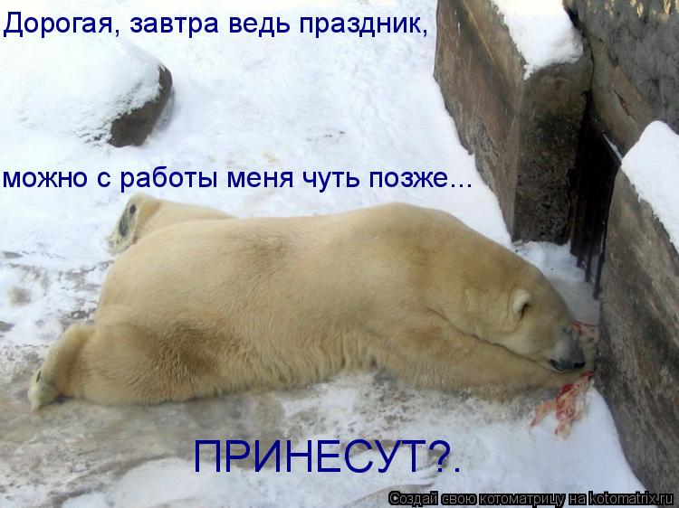 Дорогая, завтра ведь праздник, можно с работы меня чуть позже... ПРИНЕСУТ?.... Котоматрица: Дорогая, завтра ведь праздник, можно с работы меня чуть позже... ПРИНЕСУТ?.
