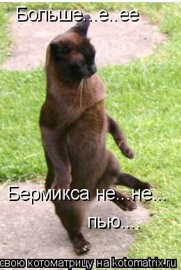 Больше...е..ее Бермикса не...не... пью....... Котоматрица: Больше...е..ее Бермикса не...не... пью....
