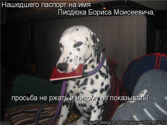 Нашедшего паспорт на имя Писдюка Бориса Моисеевича, просьба не ржать и никому не показывать!... Котоматрица: Нашедшего паспорт на имя Писдюка Бориса Моисеевича, просьба не ржать и никому не показывать!