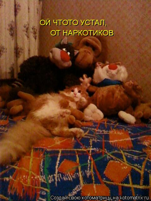 ОЙ ЧТОТО УСТАЛ, ОТ НАРКОТИКОВ... Котоматрица: ОЙ ЧТОТО УСТАЛ, ОТ НАРКОТИКОВ