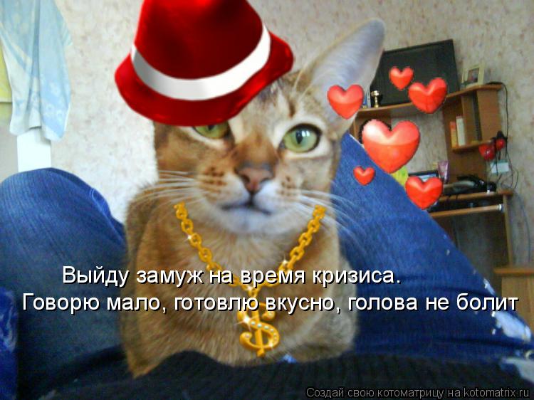 Выйду замуж на время кризиса. Говорю мало, готовлю вкусно, голова не болит... Котоматрица: Выйду замуж на время кризиса. Говорю мало, готовлю вкусно, голова не болит