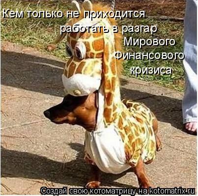 Мирового Финансового кризиса Кем только не приходится работать в разгар... Котоматрица: Мирового Финансового кризиса Кем только не приходится работать в разгар