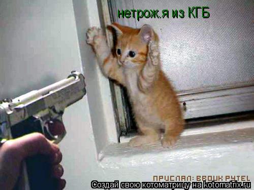 нетрож.я из КГБ... Котоматрица: нетрож.я из КГБ