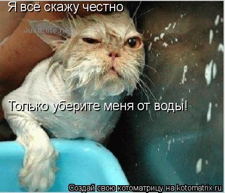 Я всё скажу честно Только уберите меня от воды!... Котоматрица: Я всё скажу честно Только уберите меня от воды!