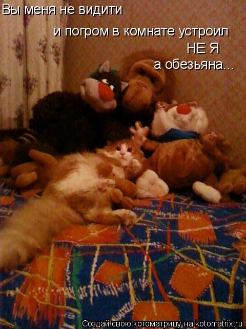 Вы меня не видити и погром в комнате устроил НЕ Я а обезьяна...... Котоматрица: Вы меня не видити и погром в комнате устроил НЕ Я а обезьяна...