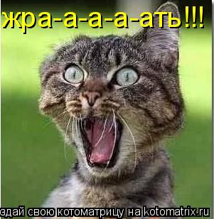 жра-а-а-а-ать!!!... Котоматрица: жра-а-а-а-ать!!!