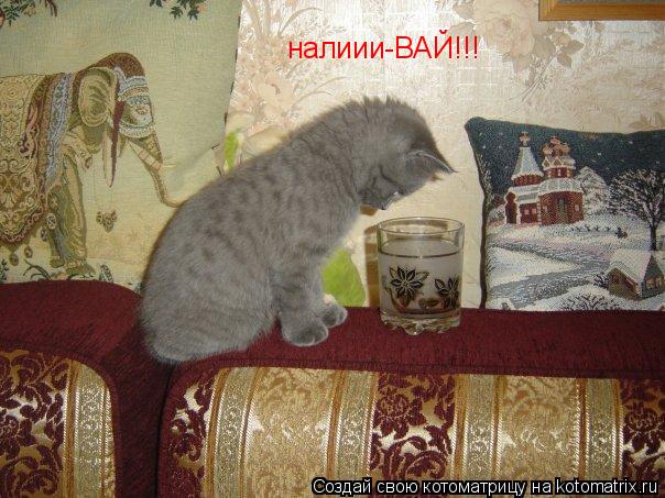 налиии-ВАЙ!!!... Котоматрица: налиии-ВАЙ!!!