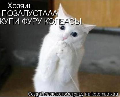 Хозяин... ПОЗАЛУСТААА КУПИ ФУРУ КОЛБАСЫ... Котоматрица: Хозяин... ПОЗАЛУСТААА КУПИ ФУРУ КОЛБАСЫ
