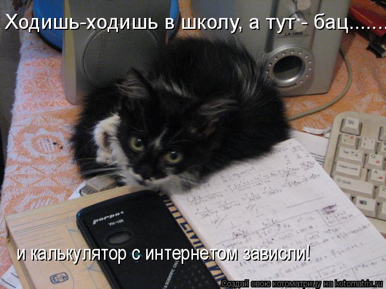 Ходишь-ходишь в школу, а тут - бац.......... и калькулятор с интернетом зависли!... Котоматрица: Ходишь-ходишь в школу, а тут - бац.......... и калькулятор с интернетом зависли!