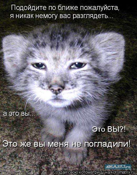 Подойдите по ближе пожалуйста, я никак немогу вас разглядеть... а это вы... Это ВЫ?! Это же вы мен... Котоматрица: Подойдите по ближе пожалуйста, я никак немогу вас разглядеть... а это вы... Это ВЫ?! Это же вы меня не погладили!