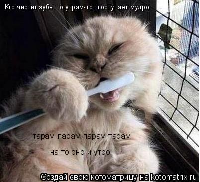 Кто чистит зубы по утрам-тот поступает мудро на то оно и утро! тарам-парам,парам-тарам... Котоматрица: Кто чистит зубы по утрам-тот поступает мудро на то оно и утро! тарам-парам,парам-тарам