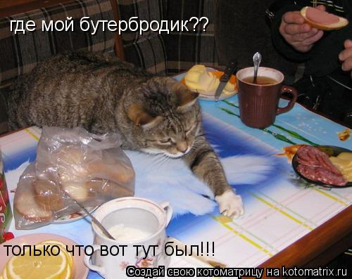где мой бутербродик?? только что вот тут был!!!... Котоматрица: где мой бутербродик?? только что вот тут был!!!