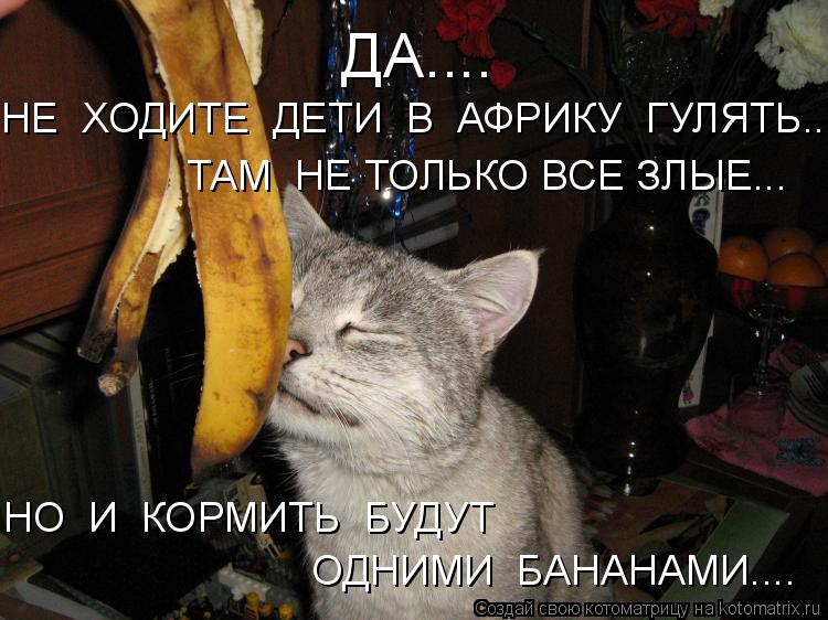 ДА.... ТАМ НЕ ТОЛЬКО ВСЕ ЗЛЫЕ... НЕ ХОДИТЕ ДЕТИ В АФРИКУ ГУЛЯТЬ... НО И КОРМИТЬ БУДУТ ОДНИМ... Котоматрица: ДА.... ТАМ НЕ ТОЛЬКО ВСЕ ЗЛЫЕ... НЕ ХОДИТЕ ДЕТИ В АФРИКУ ГУЛЯТЬ... НО И КОРМИТЬ БУДУТ ОДНИМИ БАНАНАМИ....