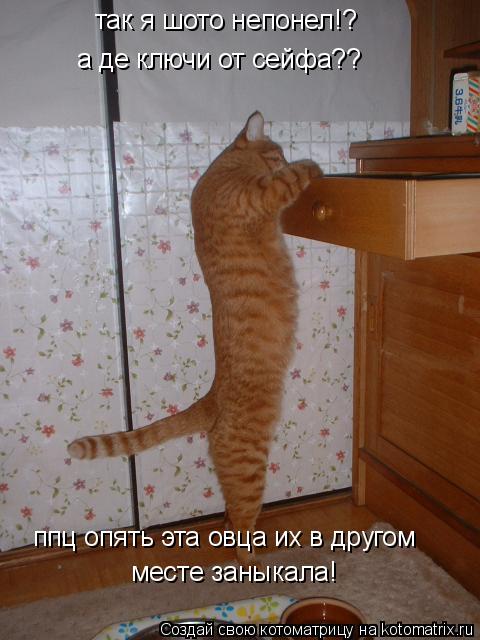 так я шото непонел!? а де ключи от сейфа?? ппц опять эта овца их в другом месте заныкала!... Котоматрица: так я шото непонел!? а де ключи от сейфа?? ппц опять эта овца их в другом месте заныкала!