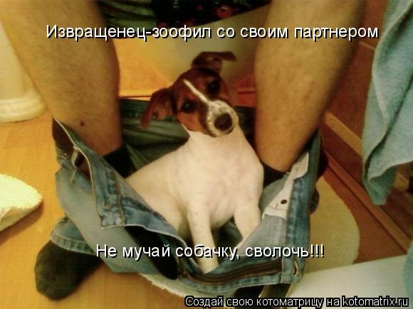 Извращенец-зоофил со своим партнером Не мучай собачку, сволочь!!!... Котоматрица: Извращенец-зоофил со своим партнером Не мучай собачку, сволочь!!!