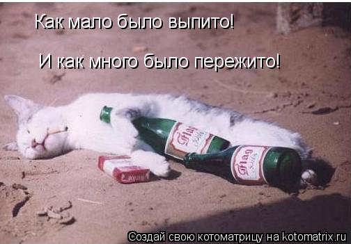 Как мало было выпито! И как много было пережито!... Котоматрица: Как мало было выпито! И как много было пережито!