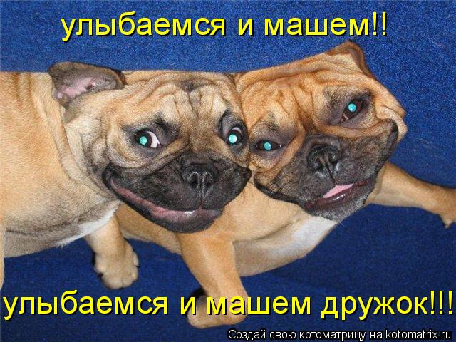 улыбаемся и машем!! улыбаемся и машем дружок!!!... Котоматрица: улыбаемся и машем!! улыбаемся и машем дружок!!!