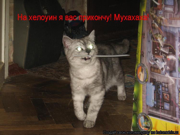 На хелоуин я вас прикончу! Мухахаха!... Котоматрица: На хелоуин я вас прикончу! Мухахаха!