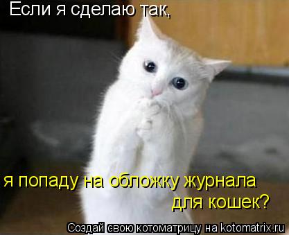 Если я сделаю так, я попаду на обложку журнала для кошек?... Котоматрица: Если я сделаю так, я попаду на обложку журнала для кошек?