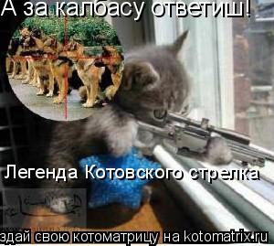 А за калбасу ответиш! Легенда Котовского стрелка... Котоматрица: А за калбасу ответиш! Легенда Котовского стрелка