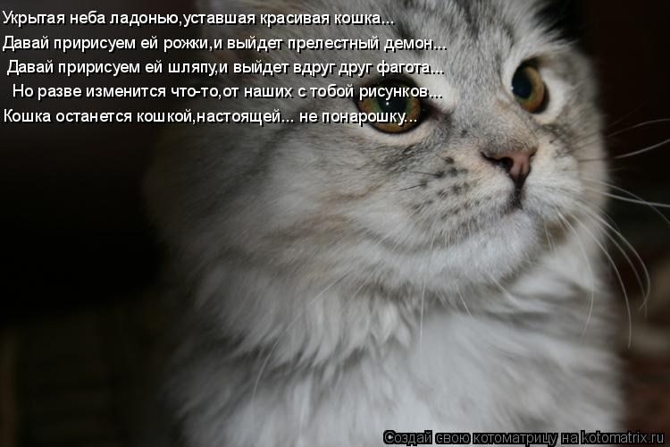 Укрытая неба ладонью,уставшая красивая кошка... Давай пририсуем ей рожки,и выйдет прелестный демон...... Котоматрица: Укрытая неба ладонью,уставшая красивая кошка... Давай пририсуем ей рожки,и выйдет прелестный демон... Давай пририсуем ей шляпу,и выйдет вдру
