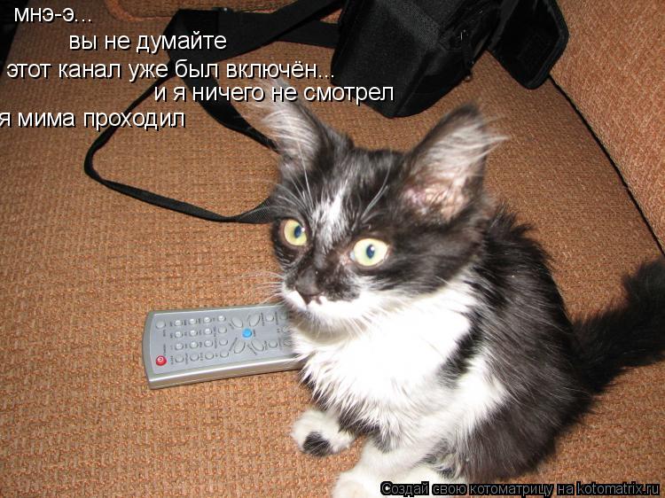 мнэ-э... вы не думайте этот канал уже был включён... и я ничего не смотрел я мима проходил... Котоматрица: мнэ-э... вы не думайте этот канал уже был включён... и я ничего не смотрел я мима проходил