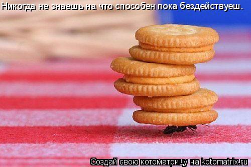 Никогда не знаешь на что способен пока бездействуеш.... Котоматрица: Никогда не знаешь на что способен пока бездействуеш.