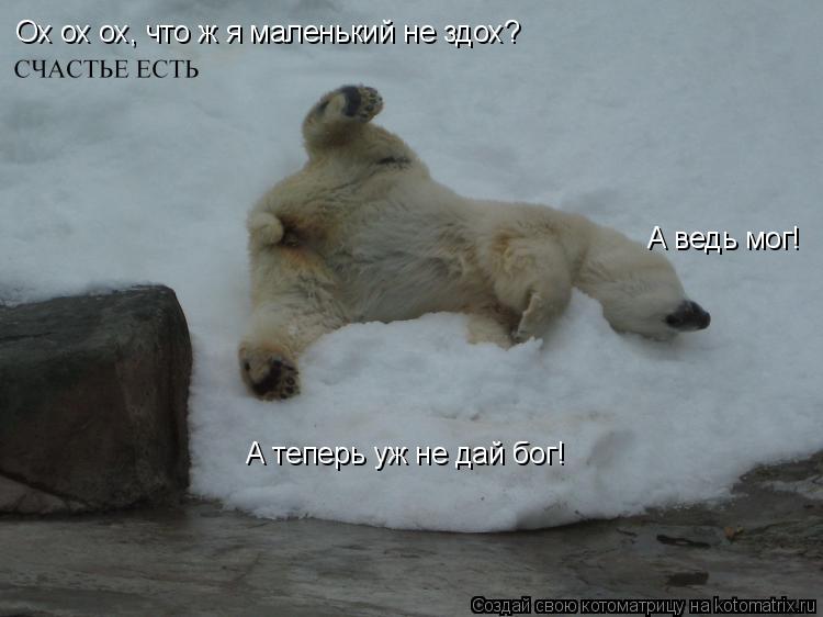 А ведь мог! А теперь уж не дай бог! Ох ох ох, что ж я маленький не здох?... Котоматрица: А ведь мог! А теперь уж не дай бог! Ох ох ох, что ж я маленький не здох?