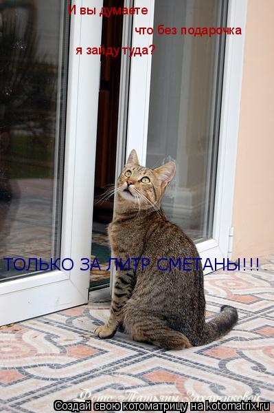 И вы думаете что без подарочка я зайду туда? ТОЛЬКО ЗА ЛИТР СМЕТАНЫ!!!... Котоматрица: И вы думаете что без подарочка я зайду туда? ТОЛЬКО ЗА ЛИТР СМЕТАНЫ!!!