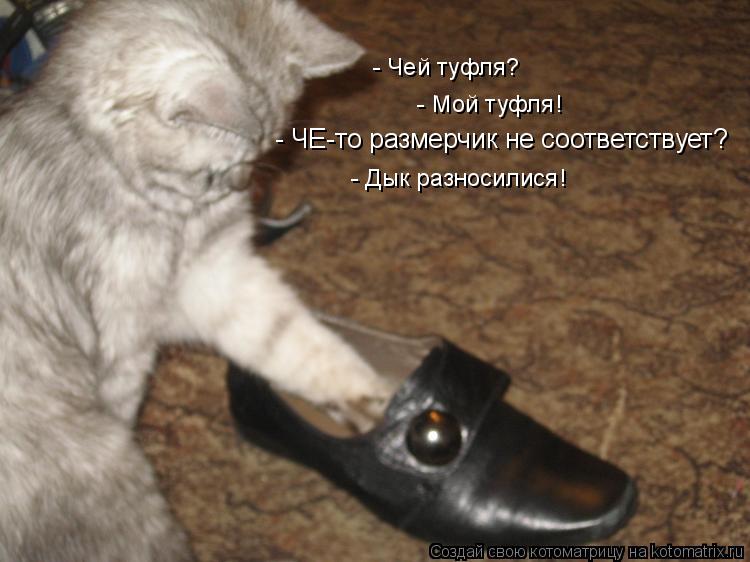 - ЧЕ-то размерчик не соответствует? - Дык разносилися! - Мой туфля! - Чей туфля?... Котоматрица: - ЧЕ-то размерчик не соответствует? - Дык разносилися! - Мой туфля! - Чей туфля?