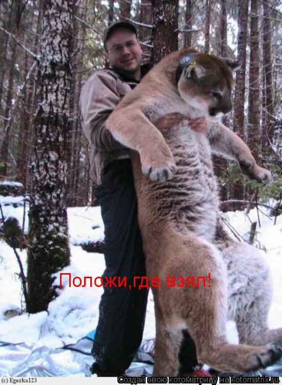 Положи,где взял!... Котоматрица: Положи,где взял!