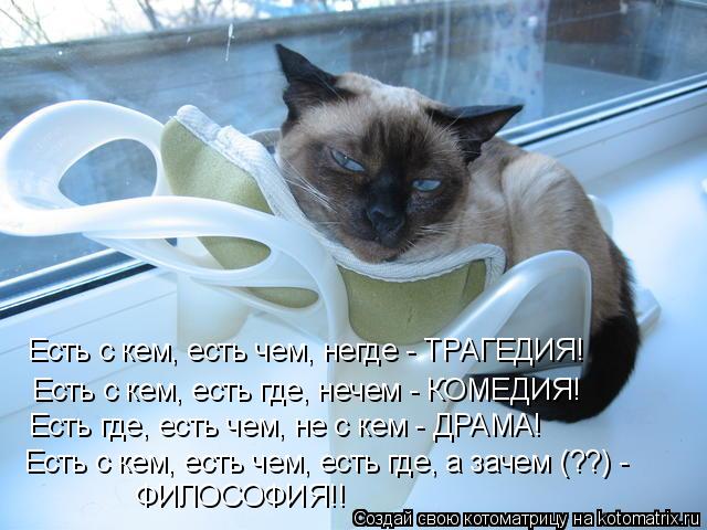 Есть с кем, есть чем, негде - ТРАГЕДИЯ! Есть с кем, есть где, нечем - КОМЕДИЯ! Есть где, есть чем, н... Котоматрица: Есть с кем, есть чем, негде - ТРАГЕДИЯ! Есть с кем, есть где, нечем - КОМЕДИЯ! Есть где, есть чем, не с кем - ДРАМА! Есть с кем, есть чем, есть где,