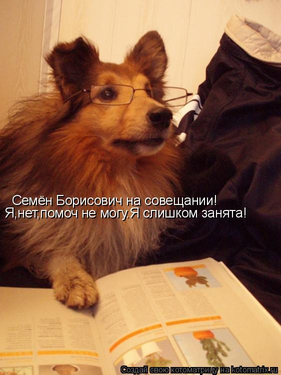 Семён Борисович на совещании! Я,нет,помоч не могу.Я слишком занята!... Котоматрица: Семён Борисович на совещании! Я,нет,помоч не могу.Я слишком занята!